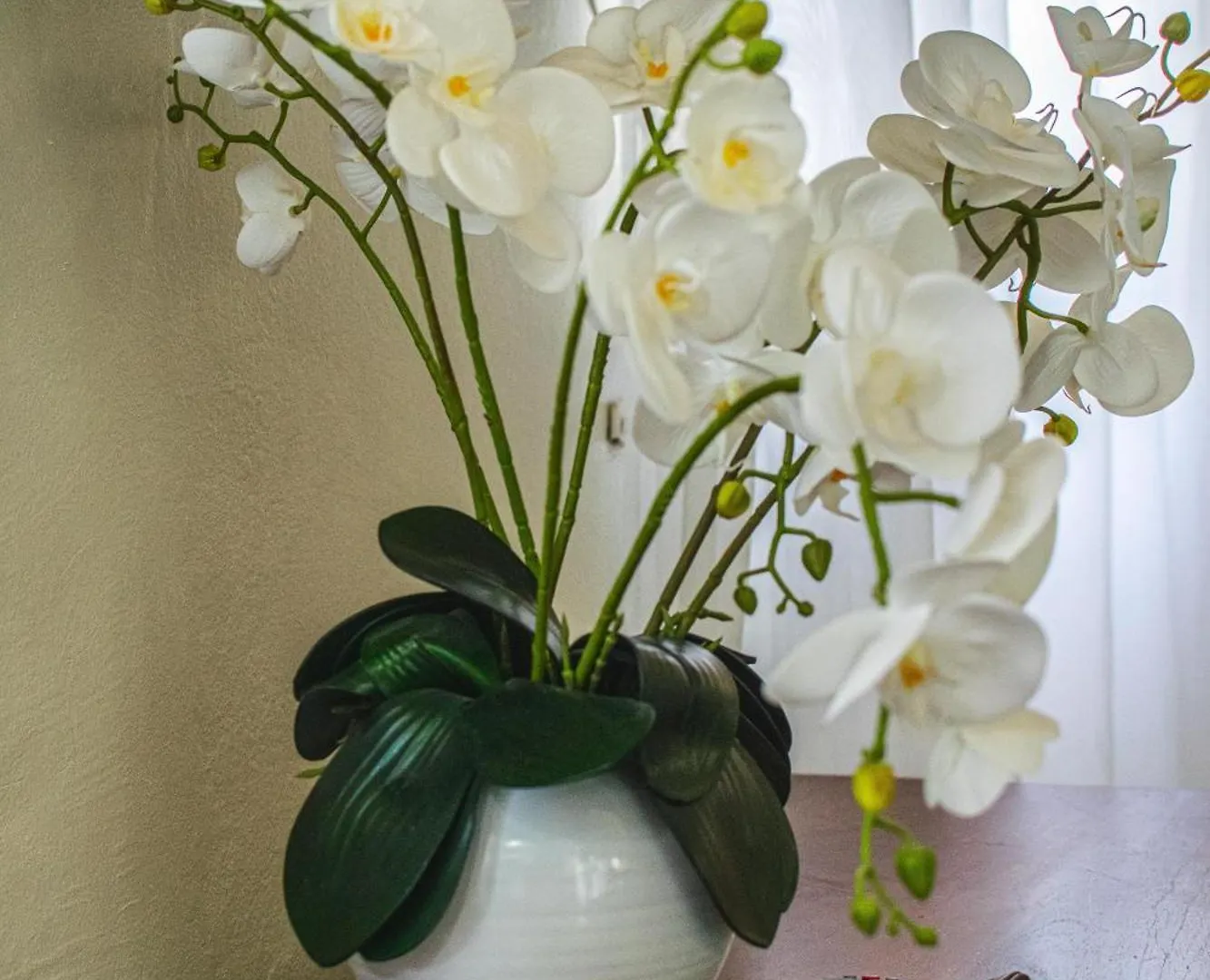 Orchid Home - Charming 2-Bedroom House With Wifi And Ac In Kingston 6 Apartment