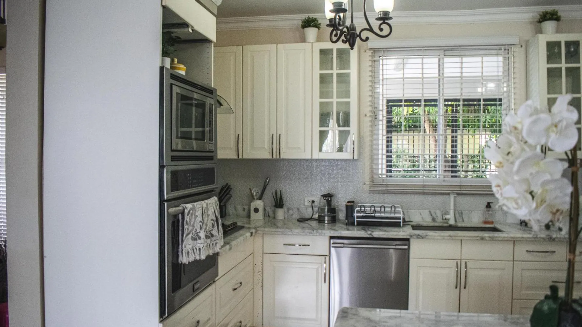 Orchid Home - Charming 2-Bedroom House With Wifi And Ac In Kingston 6