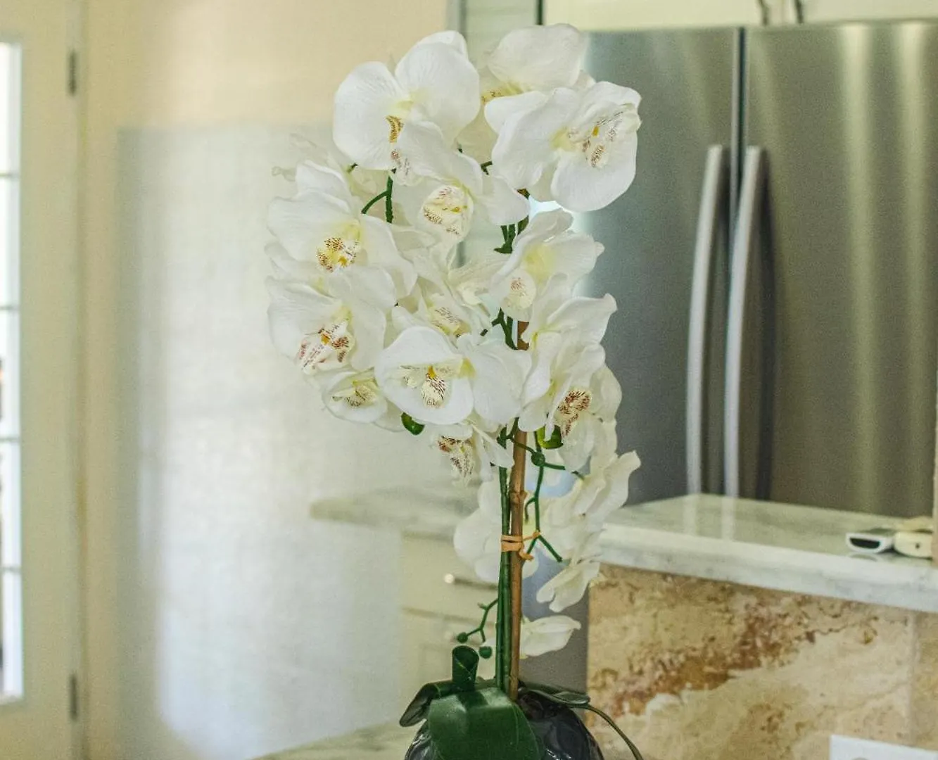Orchid Home - Charming 2-Bedroom House With Wifi And Ac In Kingston 6 Apartment